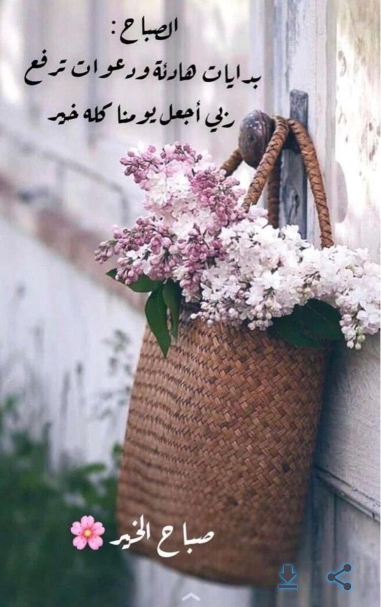بسمة أمل🦋 tweet media