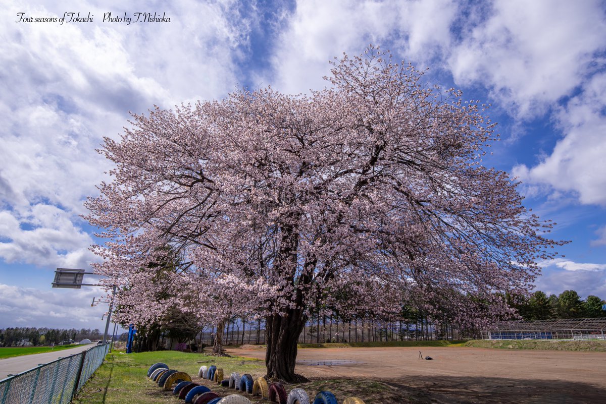 nishi@北海道十勝の風景写真 tweet media