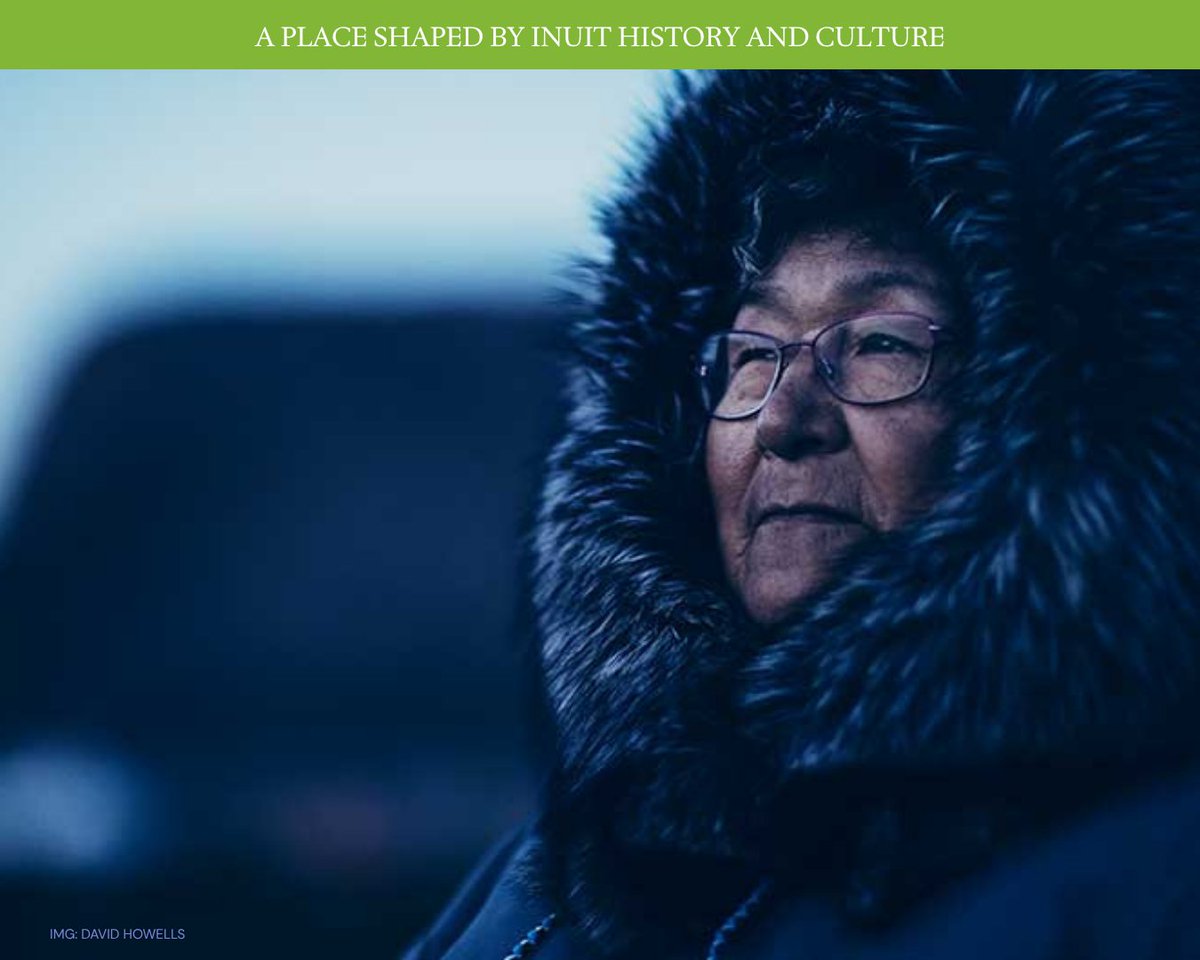 Arctic Kingdom tweet media