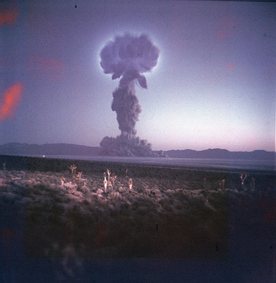 NUKES tweet media