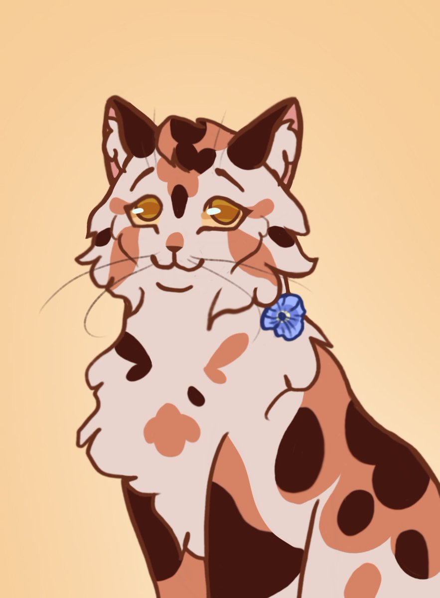 AleadomA's tweet photo. Morningflower!

Her french name is Morningglory so I drew her with one eheh
#warriorcats https://t.co/LYGuw82MhL