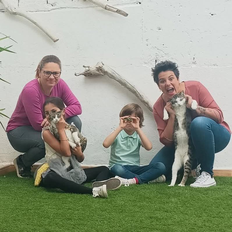 🍎AMBAR ADOPTADAA🍎
Mil gràcies a Sandra i la seua super family per donar-li esta oportunitat. Per adoptar de nou amb nosaltres i per fer-los així de feliços. 
Estem a Sueca, Valencia
📲696530119 watshapp
📩proansu@hotmail.es
✅CAIXA POPULAR
IBAN ES41 3159 0048 3128 9140 4523
