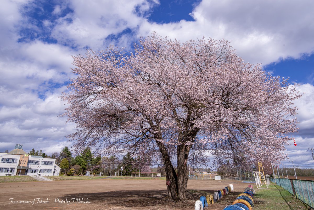nishi@北海道十勝の風景写真 tweet media