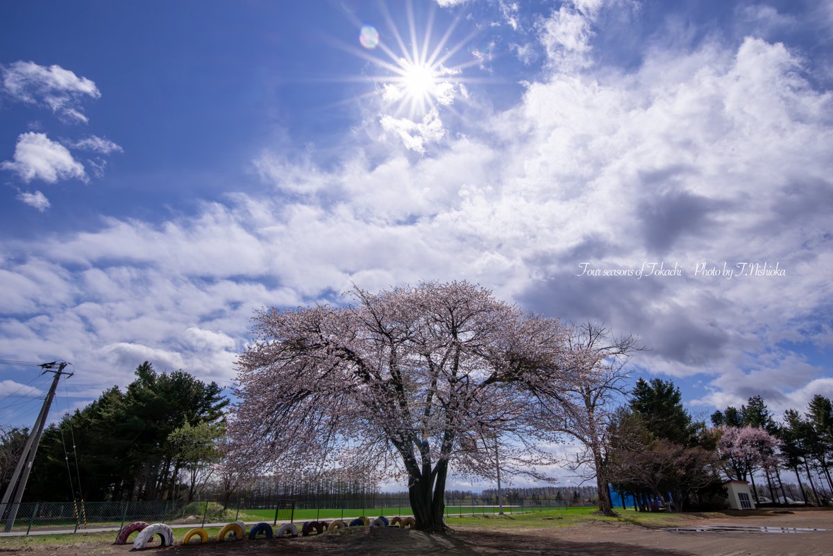 nishi@北海道十勝の風景写真 tweet media