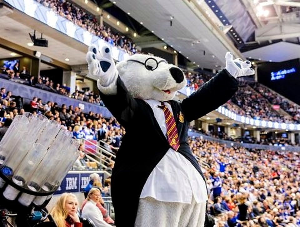 CarltonTheBear tweet media