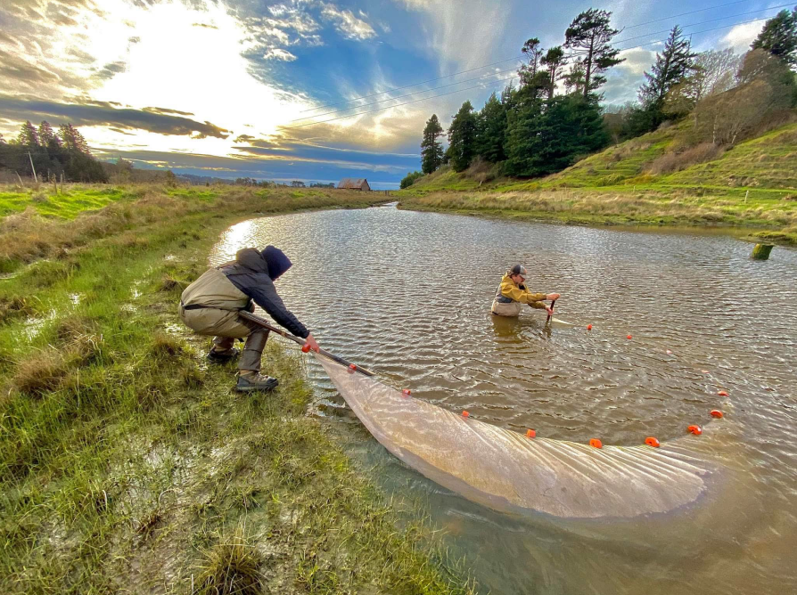 California Department of Fish and Wildlife tweet media