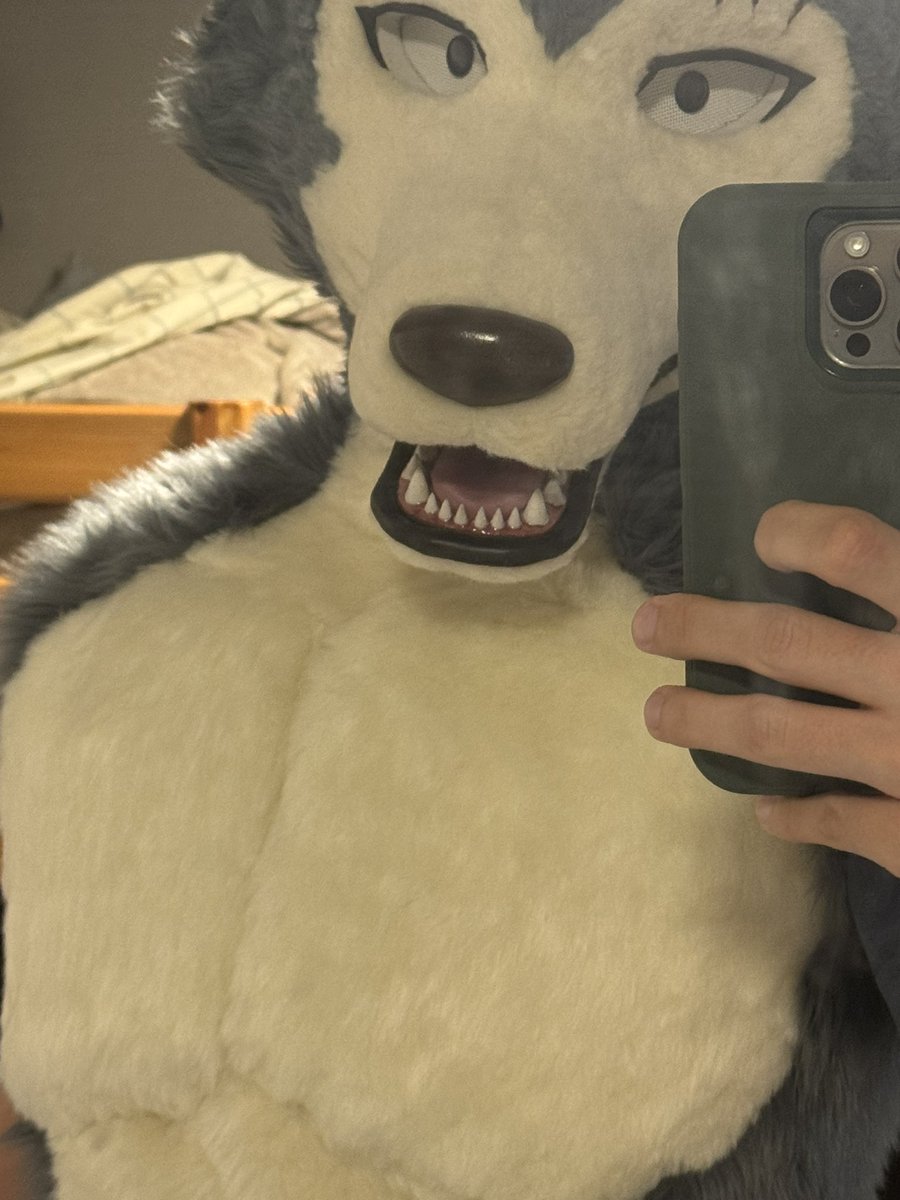 Moose (Differmitt) 🔜 FWA???? tweet media