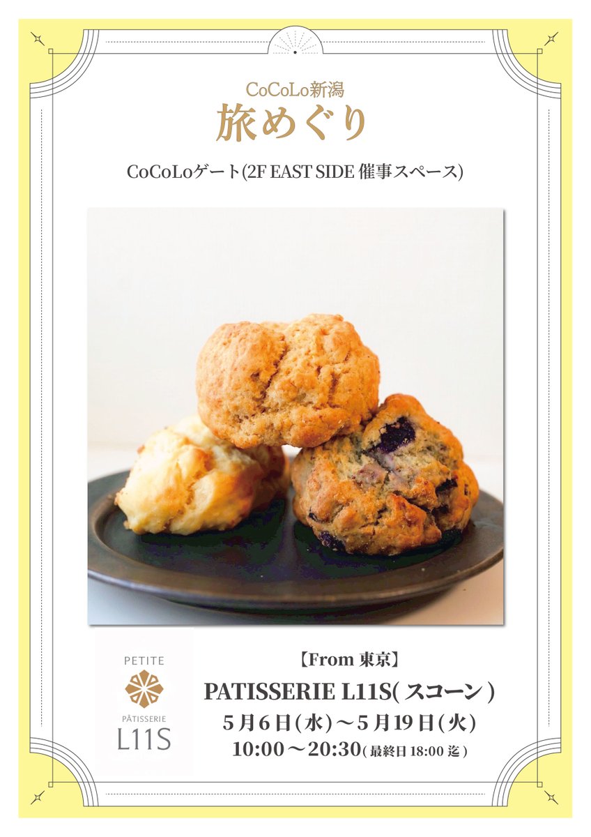 CoCoLo新潟 tweet media