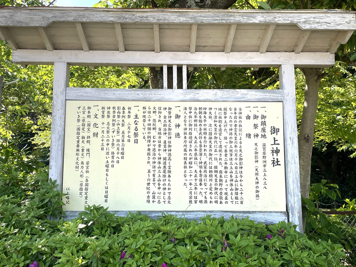 はんちゃん tweet media