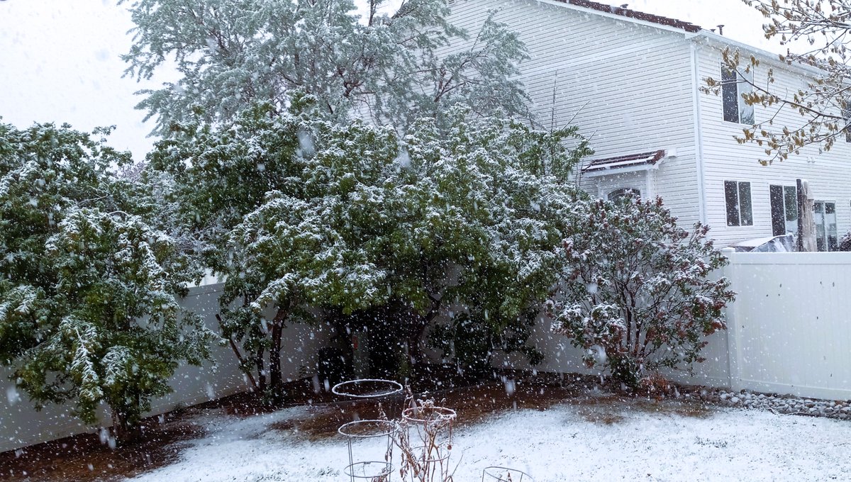 mylemonysoul's tweet photo. And this is why we wait until after Mother's Day to plant in our yards. Gotta love #Colorado weather. They say it could be 8 inches here. We'll see... #SpringSnow https://t.co/G9Rt0JtRa6