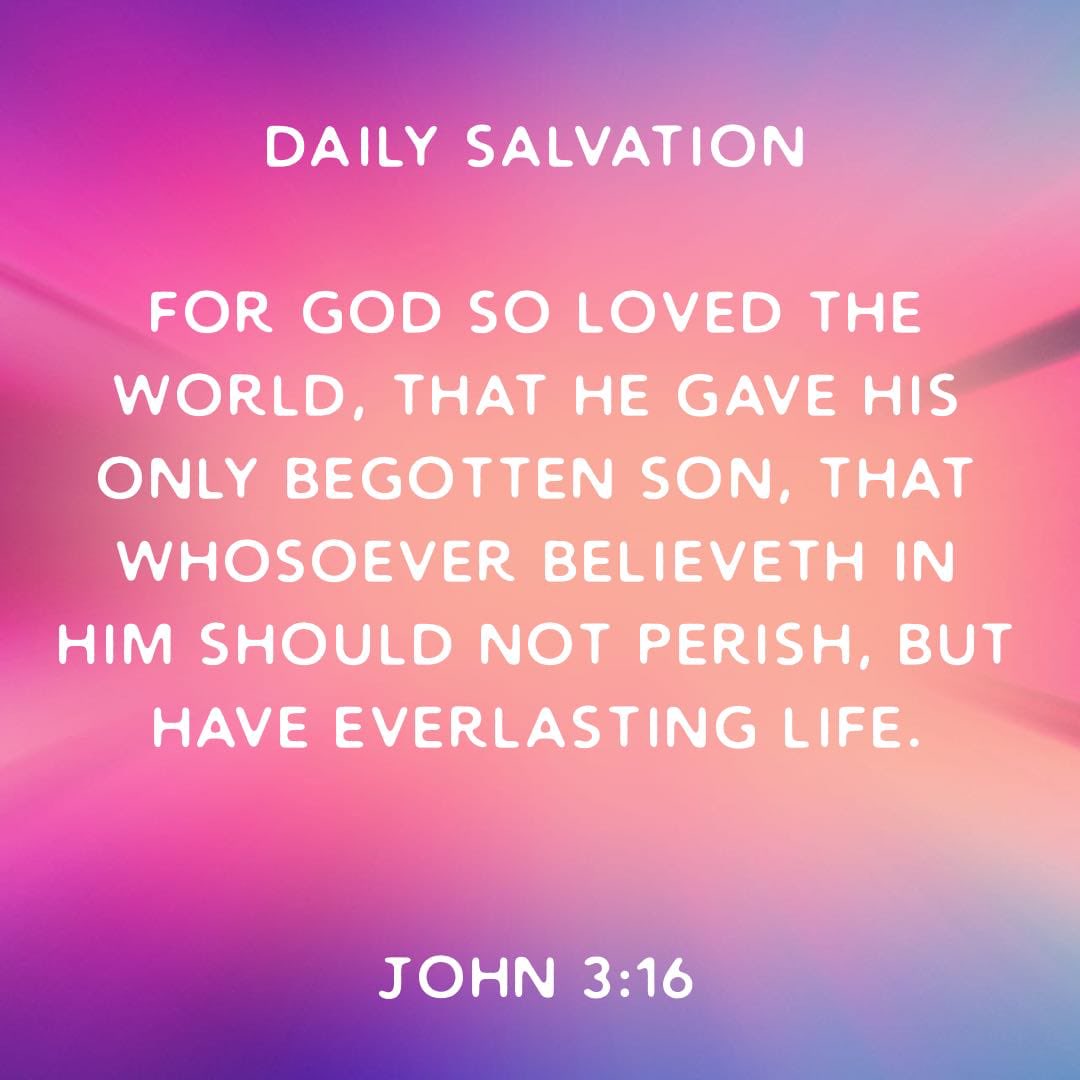 Daily Salvation tweet media