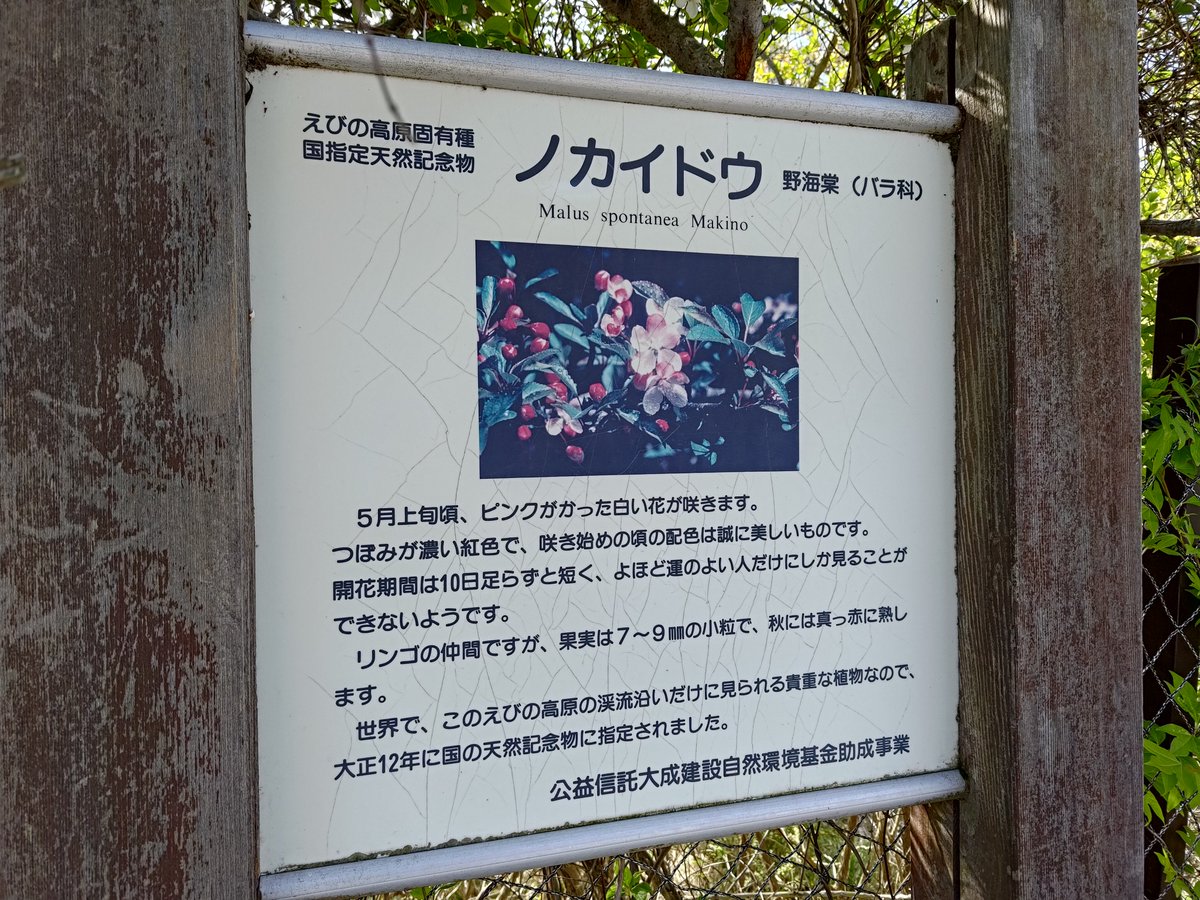 ふっさん tweet media