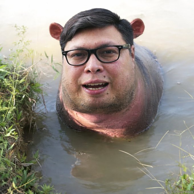 FelipeRod tweet media