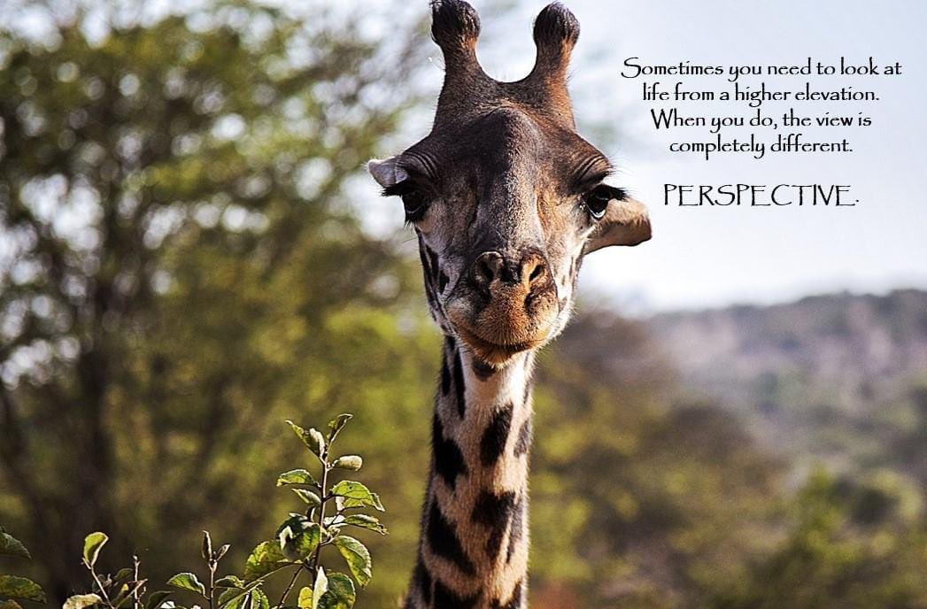 BethSpieker8's tweet photo. #POstables this reminds me of the scene in #HigherGround when Hattie tells Gabe he needs to see things from a higher perspective.
❤️❤️❤️ https://t.co/xyKbQQ5EvB