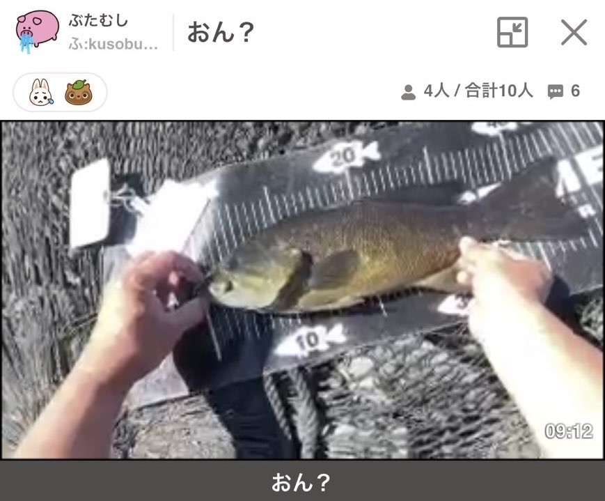 ブタムシ tweet media