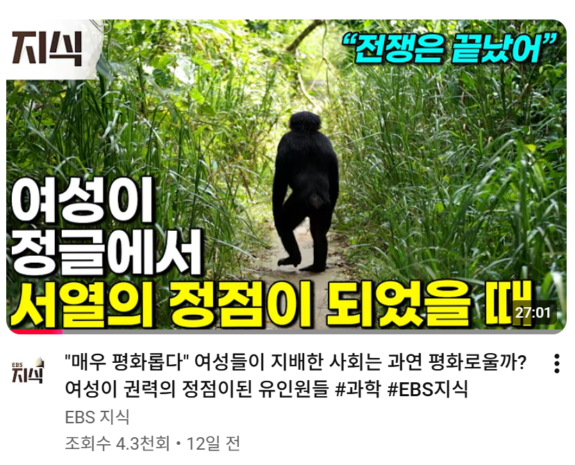 거미북이 tweet media