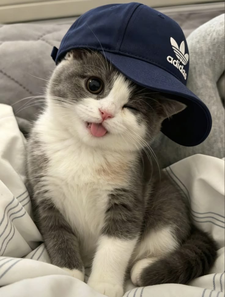 HEY 😉