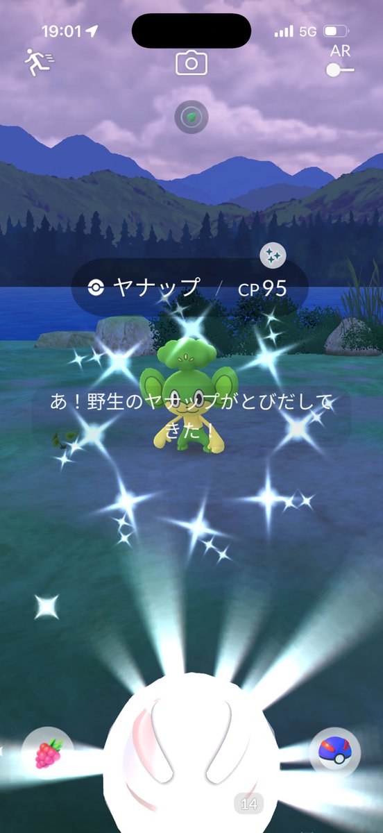 takutomoharu's tweet image. 昨日は✨無しかと思ってましたが夜のお披露目巡りの最中に来てくれました。久しぶりな子だなぁ☺️
 #ポケモンGO #PokemonGO #ポケモンGO色違い #ポケモンGOしてる人と繋がりたい #ポケモンGO好きな人と繋がりたい