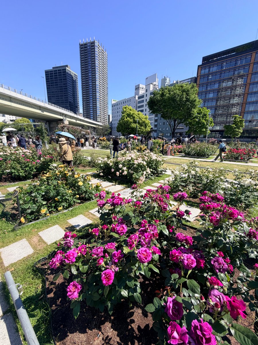 osakacityview tweet media