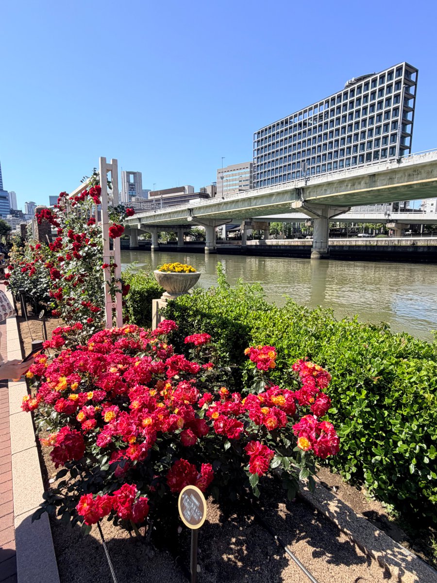 osakacityview tweet media