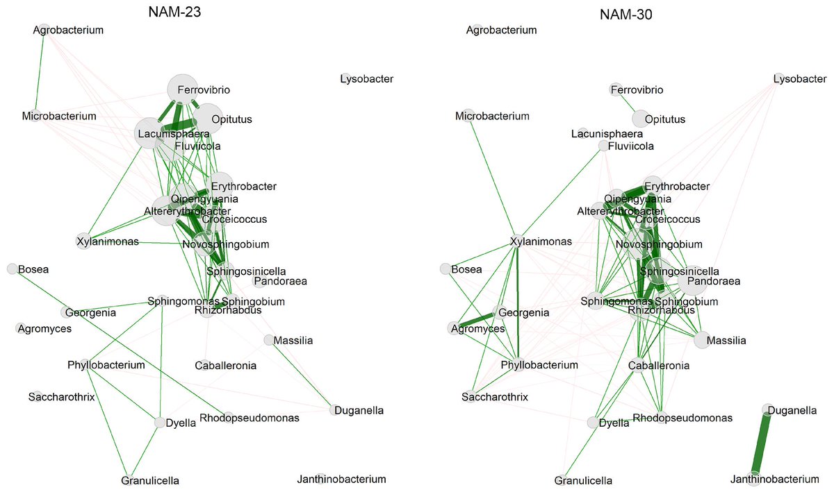 Phytobiomes Journal tweet media