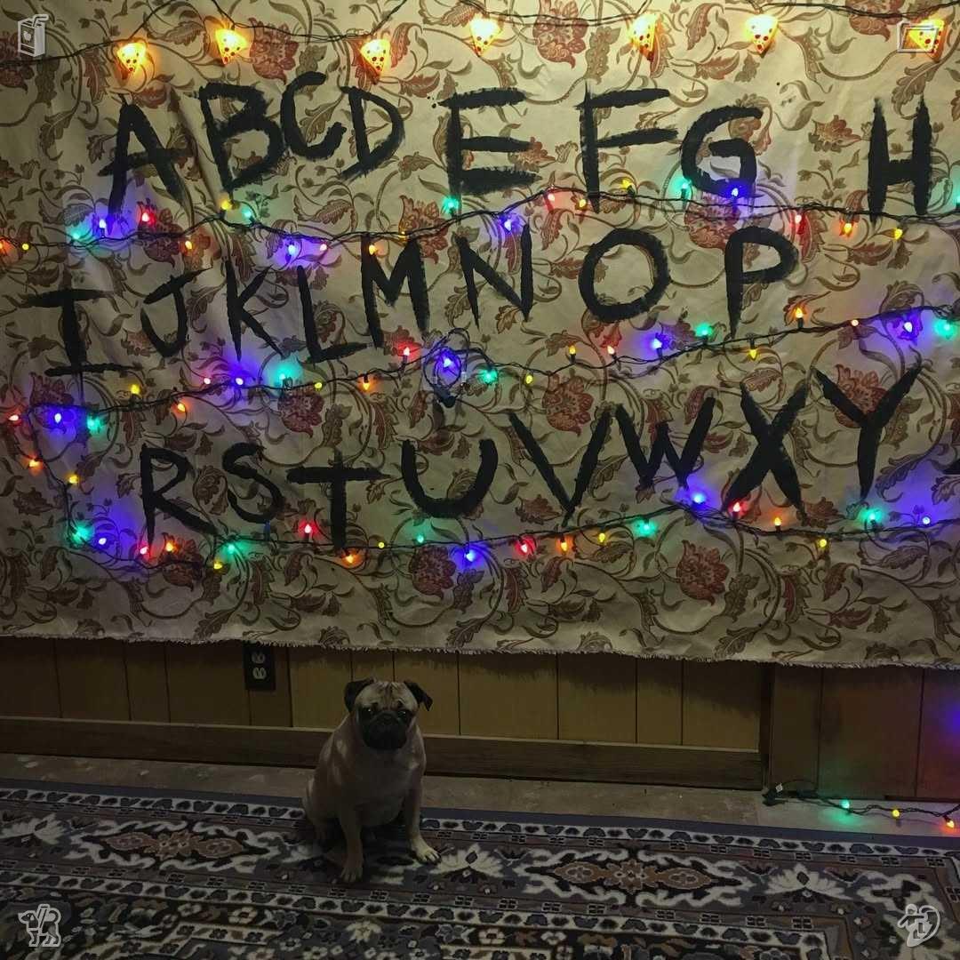HAMKINS_'s tweet photo. A cat is playing with ribbons of various colors. https://t.co/4RDuooyCH3