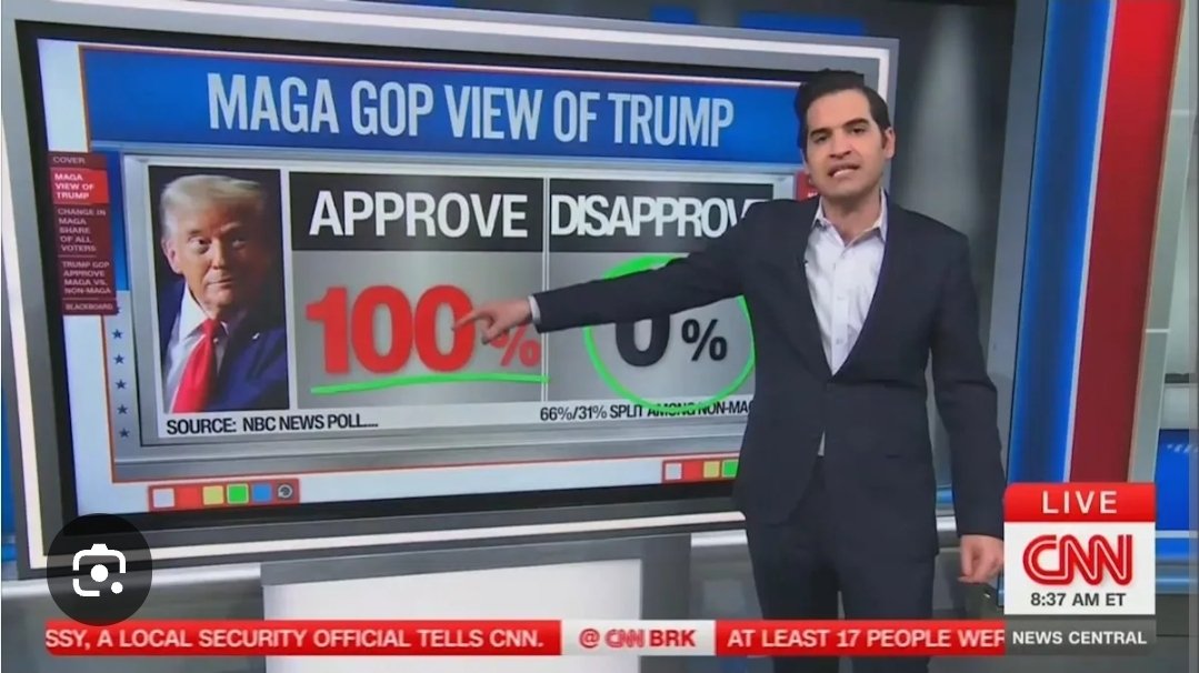 DogTurd tweet media