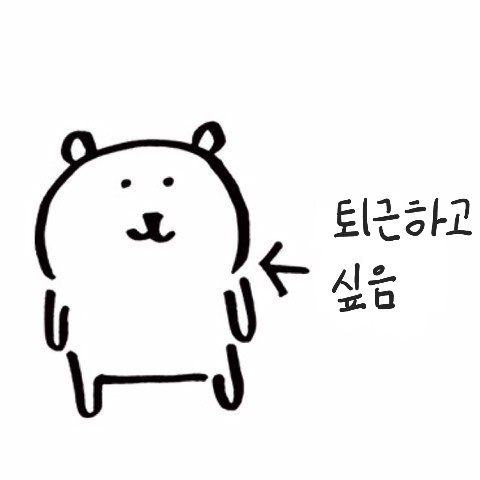 박보리˙ᵕ˙ tweet media