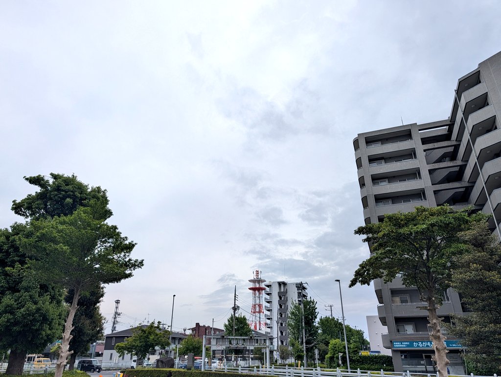 JIN@たびびと tweet media