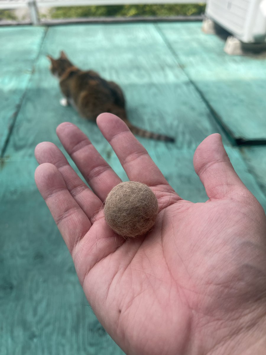 成果物