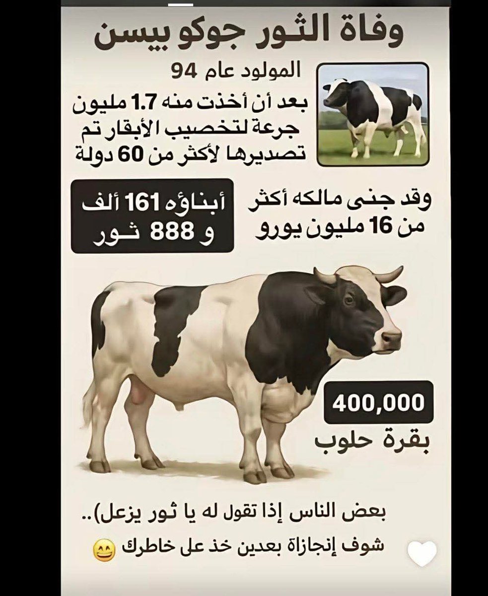 المارد ،🕊️ tweet media