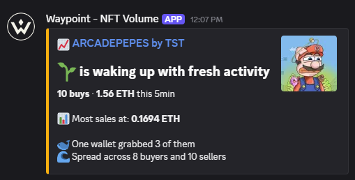 CryptoGorilla's tweet photo. Our @WaypointTools bot caught all of these trades

Arcade Pepe pinged at 0.169e (2.5x)
Symmetria pinged at 0.1e (2x)
Nasbela at 0.0197e (4.5x)
Fwents at 0.003 (18x)

It also caught ClanCard, Voovki, DropDedGorgez, Slonks and more!

Want access? Comment below https://t.co/ihJrlbZgGx
