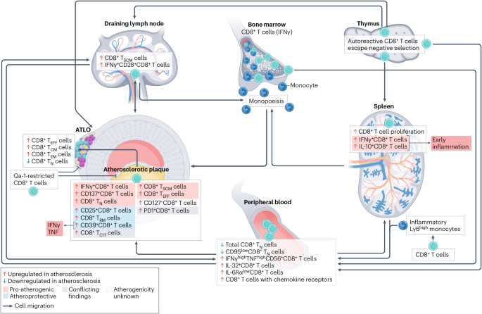 Nature Reviews Cardiology tweet media