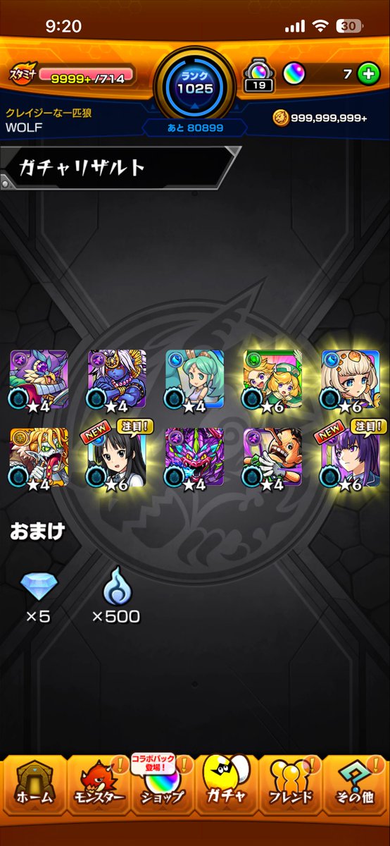 ウルフ tweet media