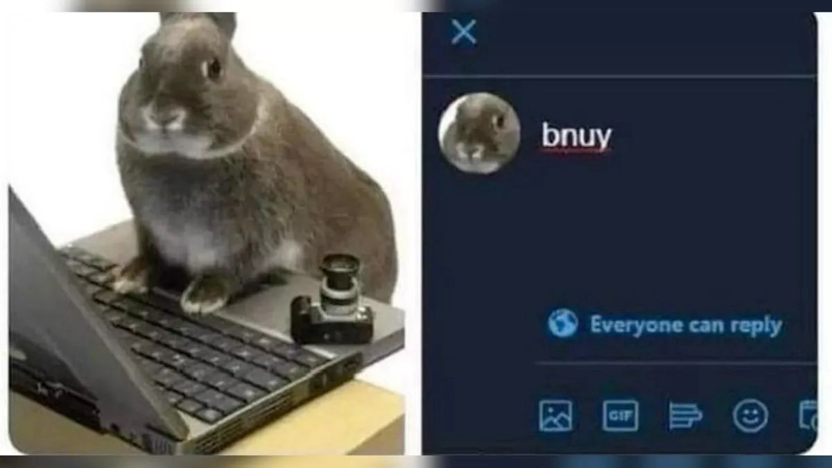 k tweet media