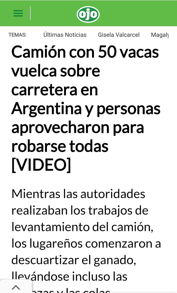 Zobi tweet media