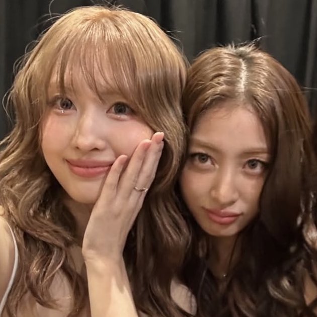 mohyo thinker tweet media