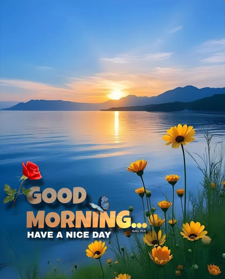 Munesh Meena मुनेश मीणा tweet media