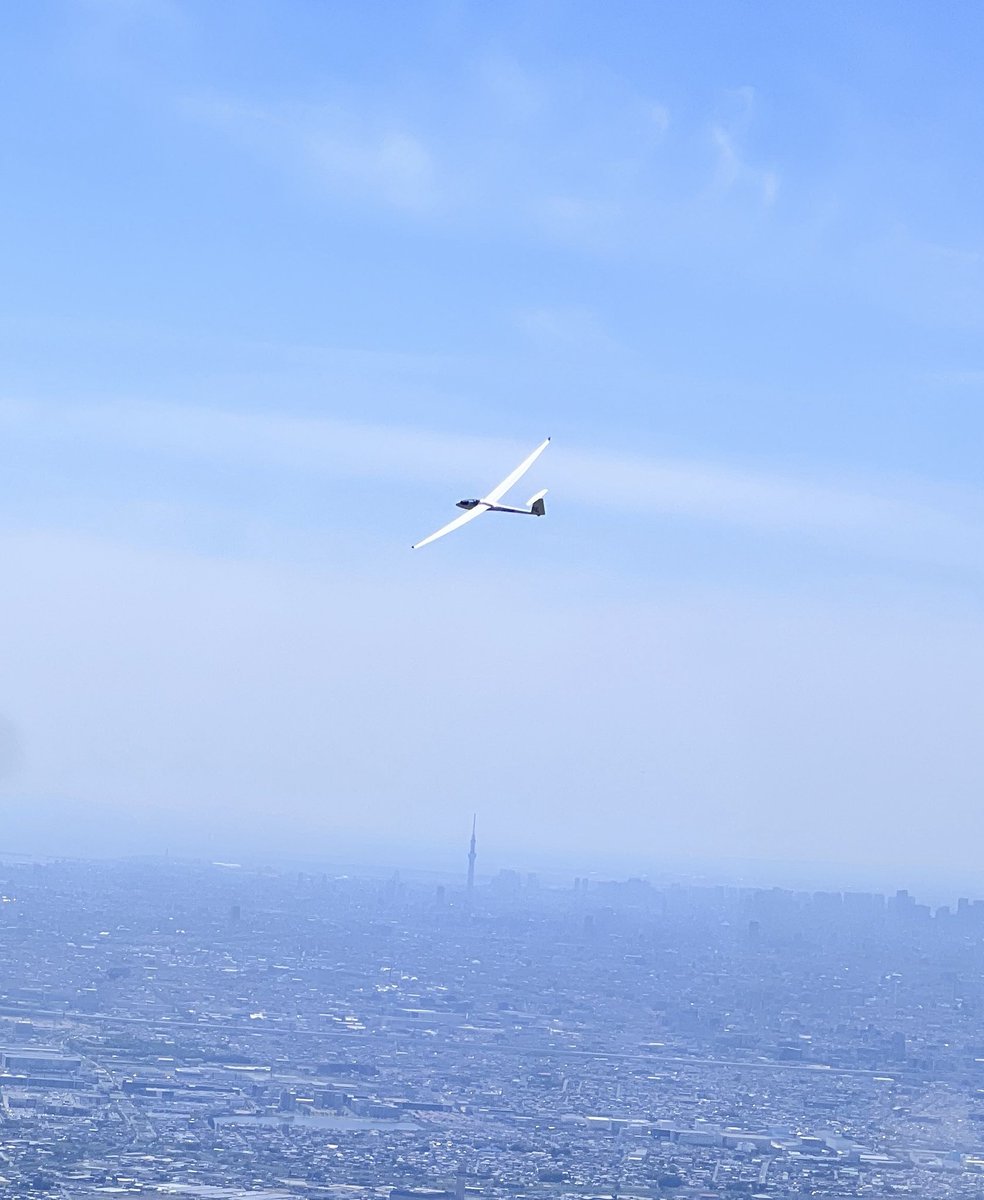 帰ってきた空飛ぶむぎちゃん tweet media
