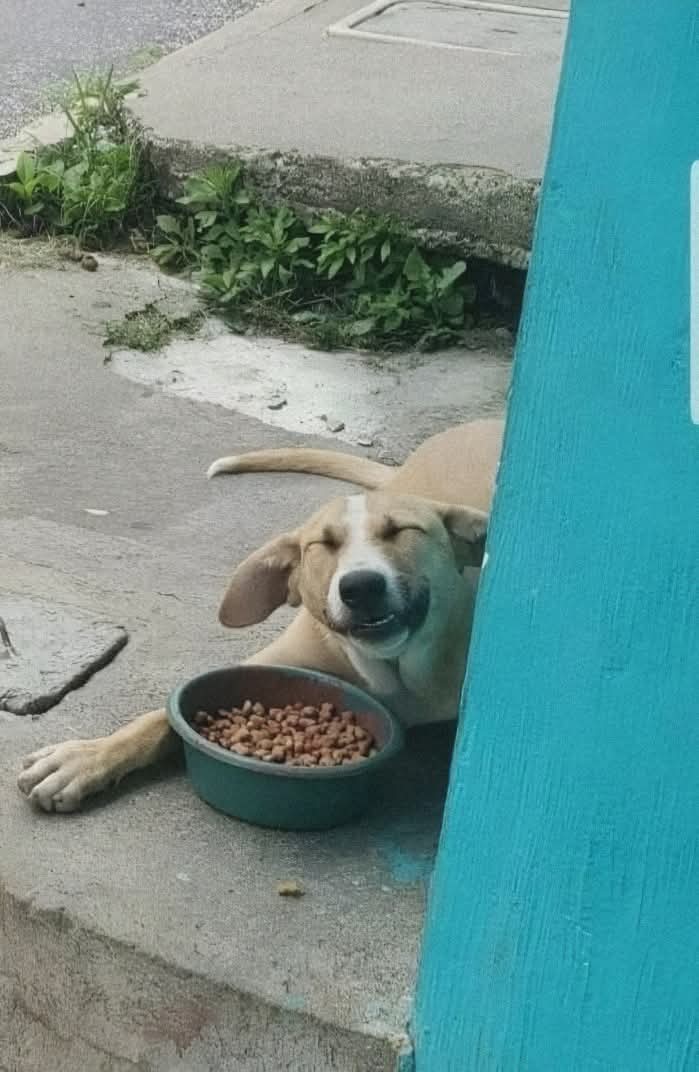 "Haz el bien, la vida te lo recompensará."