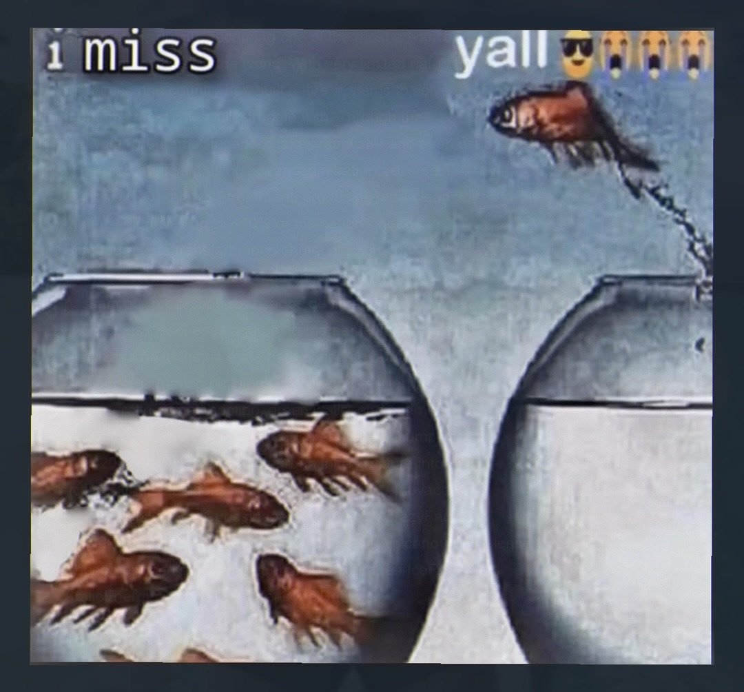 brainrot dimension tweet media