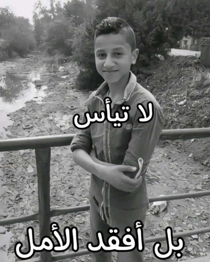 أ tweet media