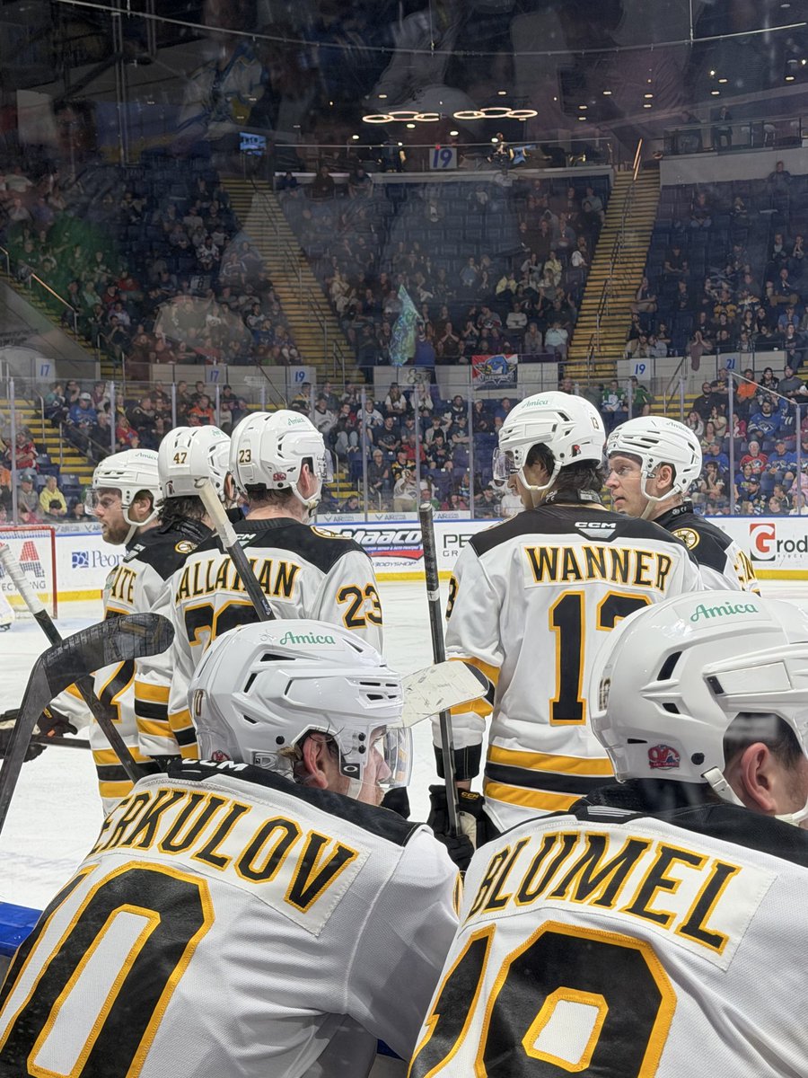 OriginalTebow's tweet image. Second period ends Providence Bruins 2 Springfield Thunderbirds 2

 #AHL #AHLBruins #hockey