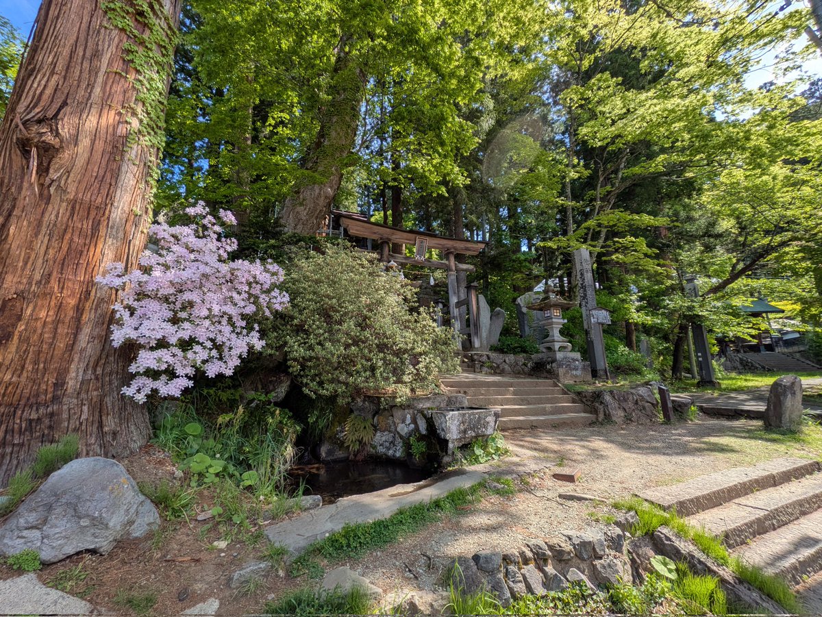 oyamasanke's tweet photo. 温泉に入る前に湯澤神社に参拝。
かつて湯山や湯澤と呼ばれていた時期に建立されたそう。
お寺と隣接してるせいか鈴ではなく銅鑼のような奴がついてました。
あと彫刻が精巧で美しい。
見応えあります。 https://t.co/ChBJQkwXbJ
