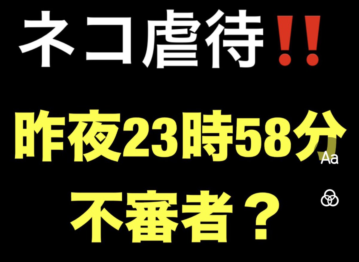 tytlekenamon's tweet photo. 【速報】虐待に遭ったネコ昨夜23時58分撮影する不審者男性⁉︎ #保護猫
https://t.co/epLScOcU3G https://t.co/DyxCFb5epv