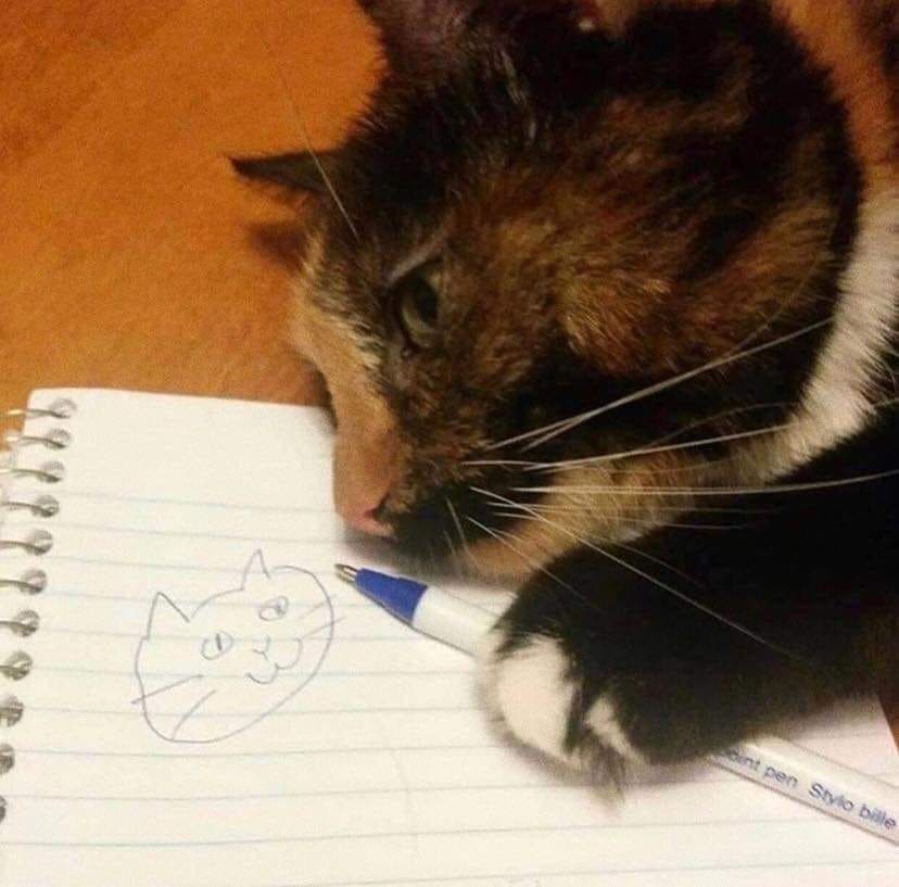 Punch Cat tweet media
