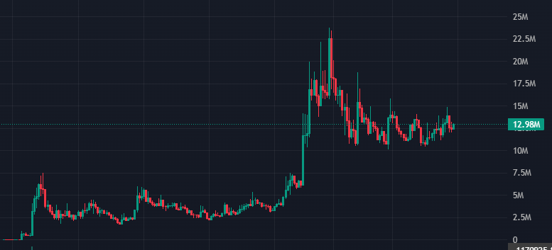vyroxx tweet media