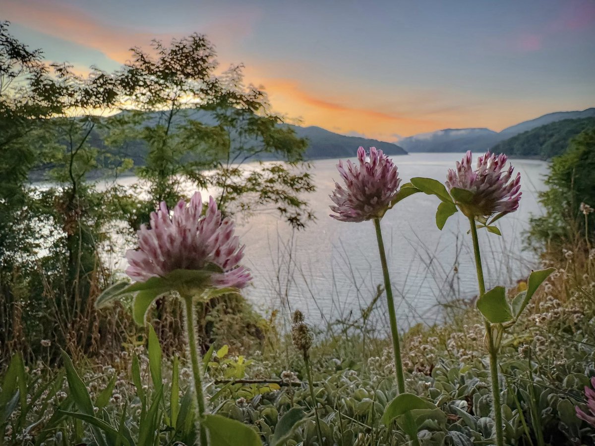VisitBrysonCity's tweet photo. There’s nothing quite like sunrise at Fontana Dam in the spring. 👉https://t.co/xfWVgLQaSg
#FontanaDam #SmokyMountains #SpringInTheSmokies #SunriseMagic #BrysonCityNC #explorenc
Up N' Adam Adventures https://t.co/p9LeJt7m72
