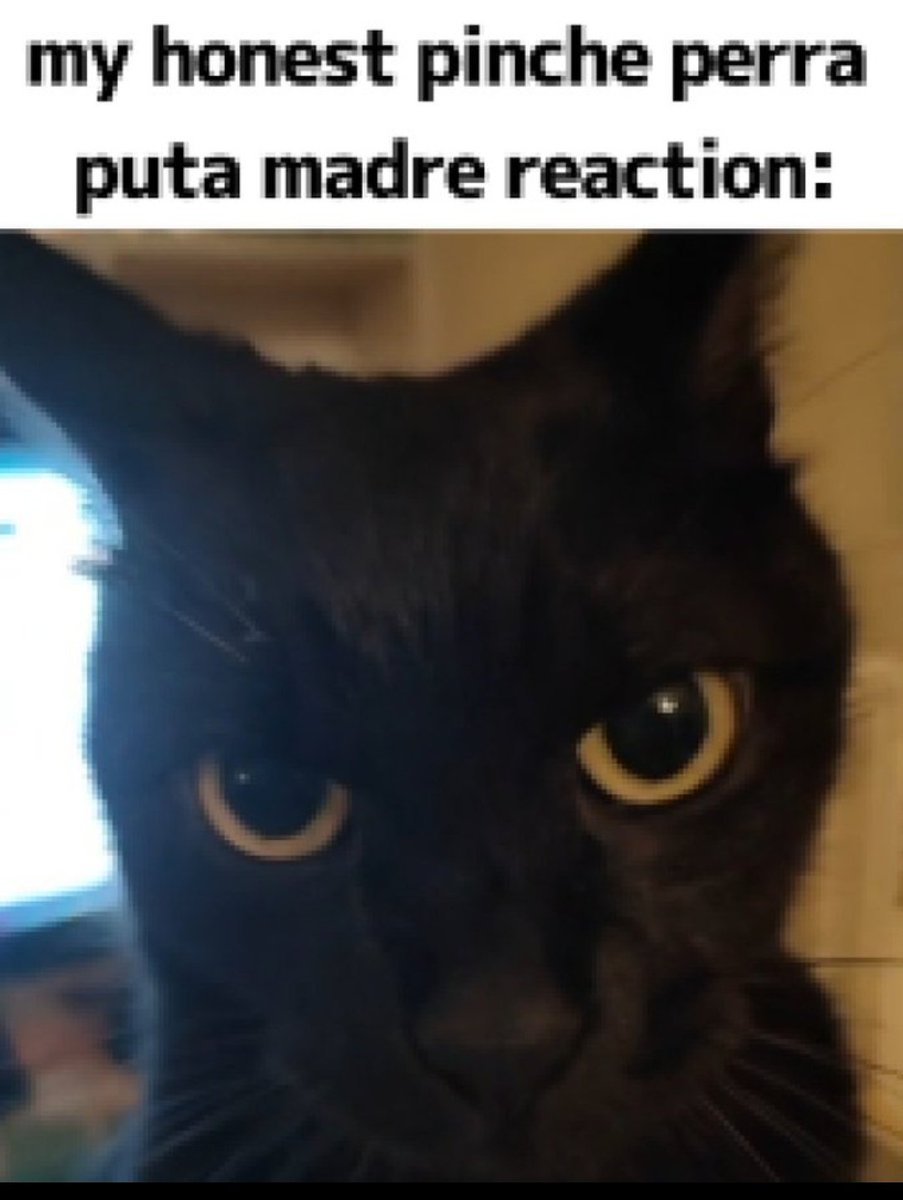 Rata Hinchada Pedorra 💨💨💨 tweet media