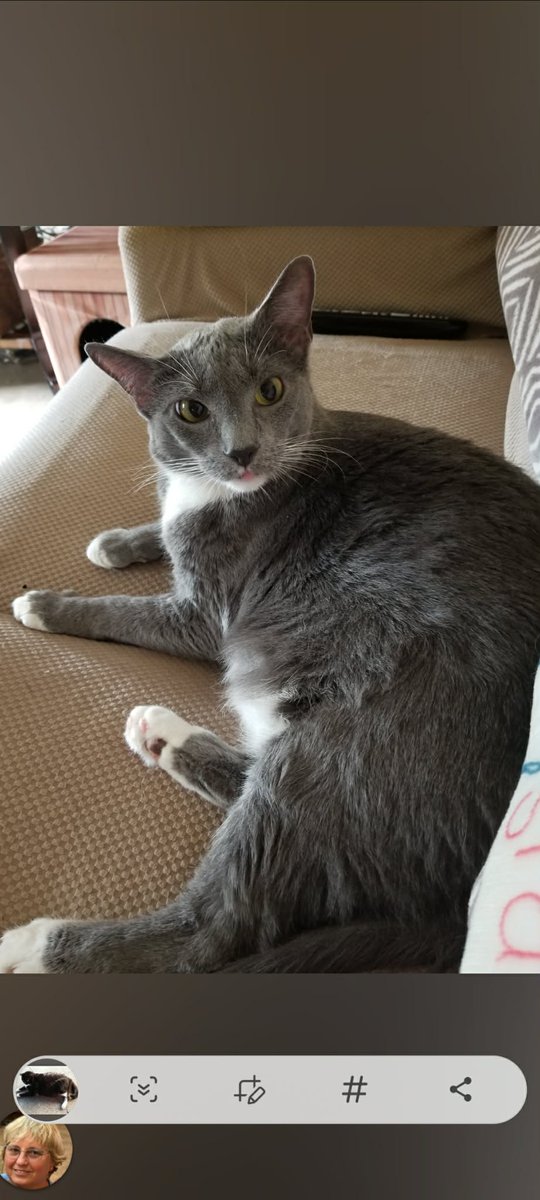 HumaneLA's tweet photo. GiveNOLA Day ends at midnight tonight, giving those who would like to support our statewide humane programs a few more hours. Thanks to you, we're able to help thousands of animals in need. https://t.co/ofHnVmoer9 https://t.co/B08heNGC0m